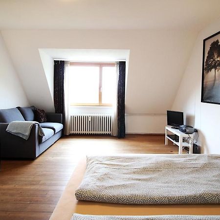 Zentrale Stadtwohnung - Direkt Am Main, Park-Ausblick Würzburg Esterno foto