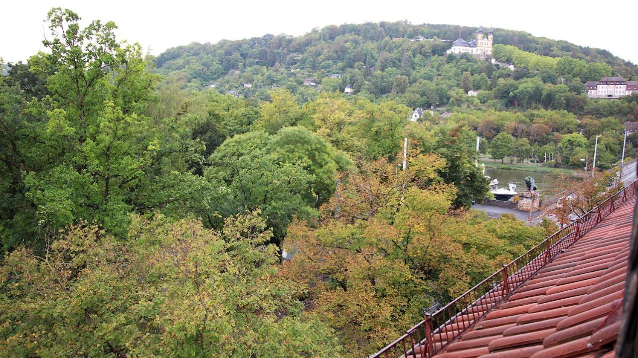 Zentrale Stadtwohnung - Direkt Am Main, Park-Ausblick Würzburg Esterno foto